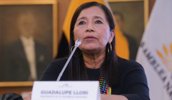 Guadalupe Llori y los periodistas