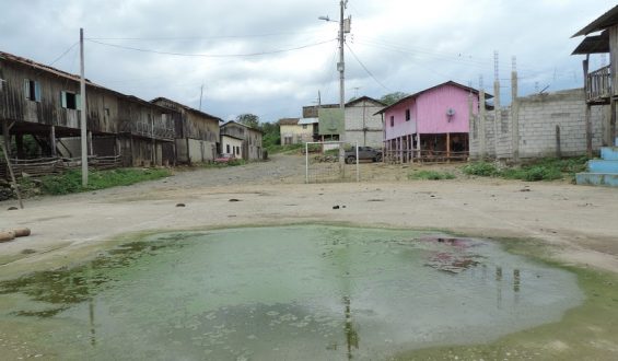 Los niños volvieron al pueblo