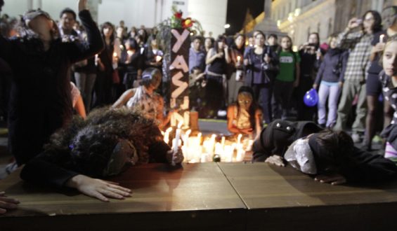 Yasuní, ahora todos te amamos…