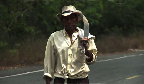 La media vida de Rogelio Chiluiza