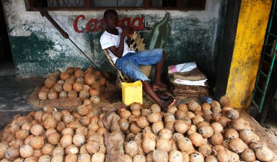 Cocada a ritmo de salsa
