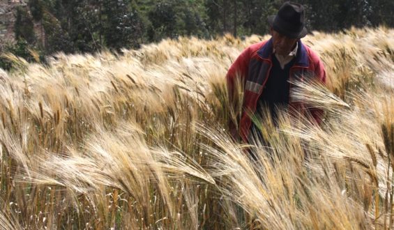 «Persuadir es mejor que disparar»
