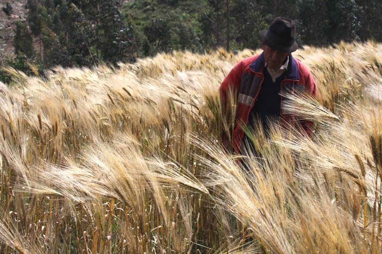 «Persuadir es mejor que disparar»
