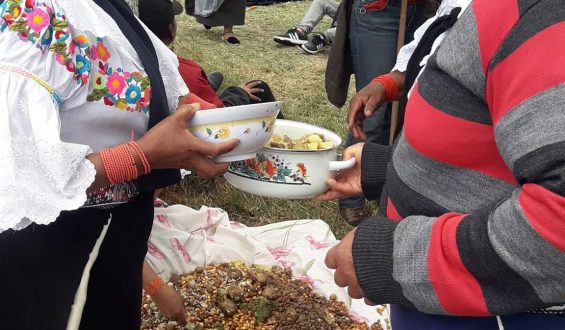 Ibarra, alterada por militares e indígenas