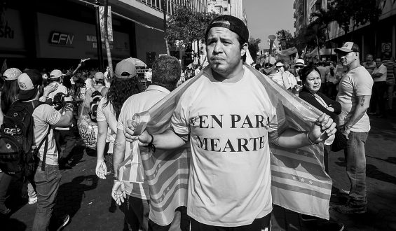 Guayaquil, entre blancos y zánganos