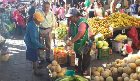 Sangolquí: Normalidad con futuro sombrío