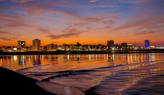 Coronavirus/ Somos el ejército de los 12 monos