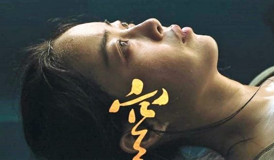 Nómadas o mártires