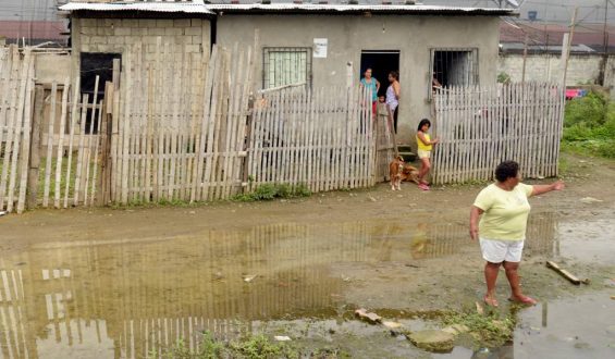 Mi país es una ficción y no lo niego