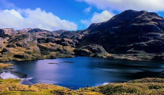 “Pies, para qué los quiero, si tengo alas para volar”