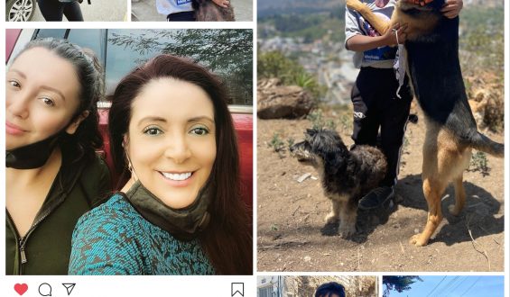 Anthony, el niño que puso mascarilla a su perro y se volvió famoso en el mundo