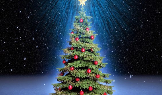 El árbol de Navidad, símbolos y significados