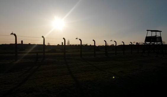 El doloroso pasado (y presente) del Holocausto