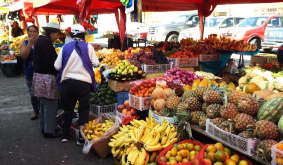 Donde compro las verduras se libran las batallas cotidianas
