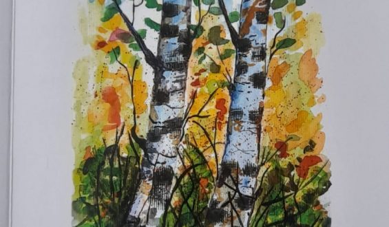 Sonia, otra manera de nombrarle al oro