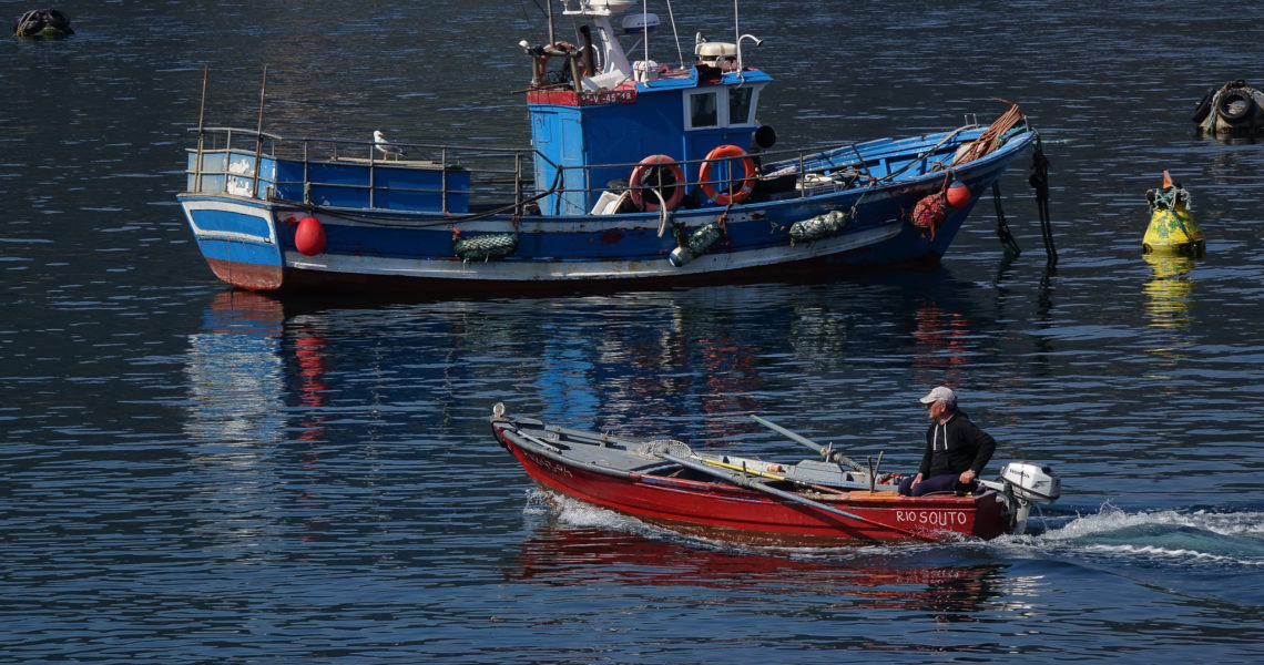 Crímenes del otro amor