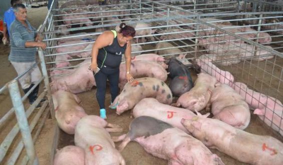 La señora de la lavaza, una crónica de Leonardo Ceballos