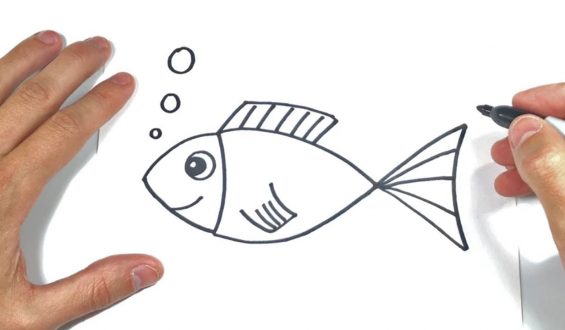 El pez de la niña. Una crónica de Martha Ortiz Posligua