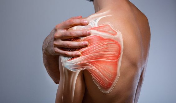 El manguito rotador. Una historia de Nancy Carrillo