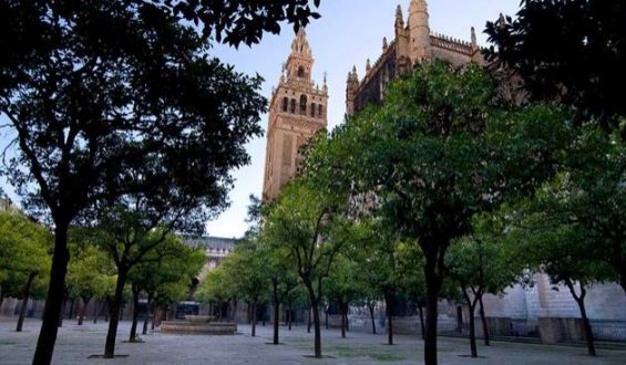 El deleite de sentir la arquitectura. Por María Dolores Montaño